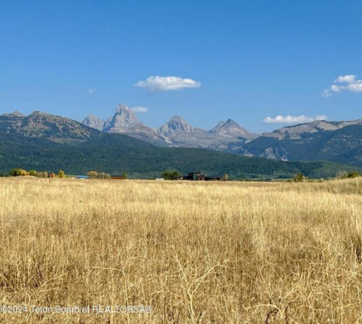 Picture of Residential Land For Sale in Tetonia, Idaho, United States