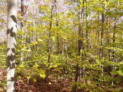 Residential Land For Sale in Forest City, Pennsylvania