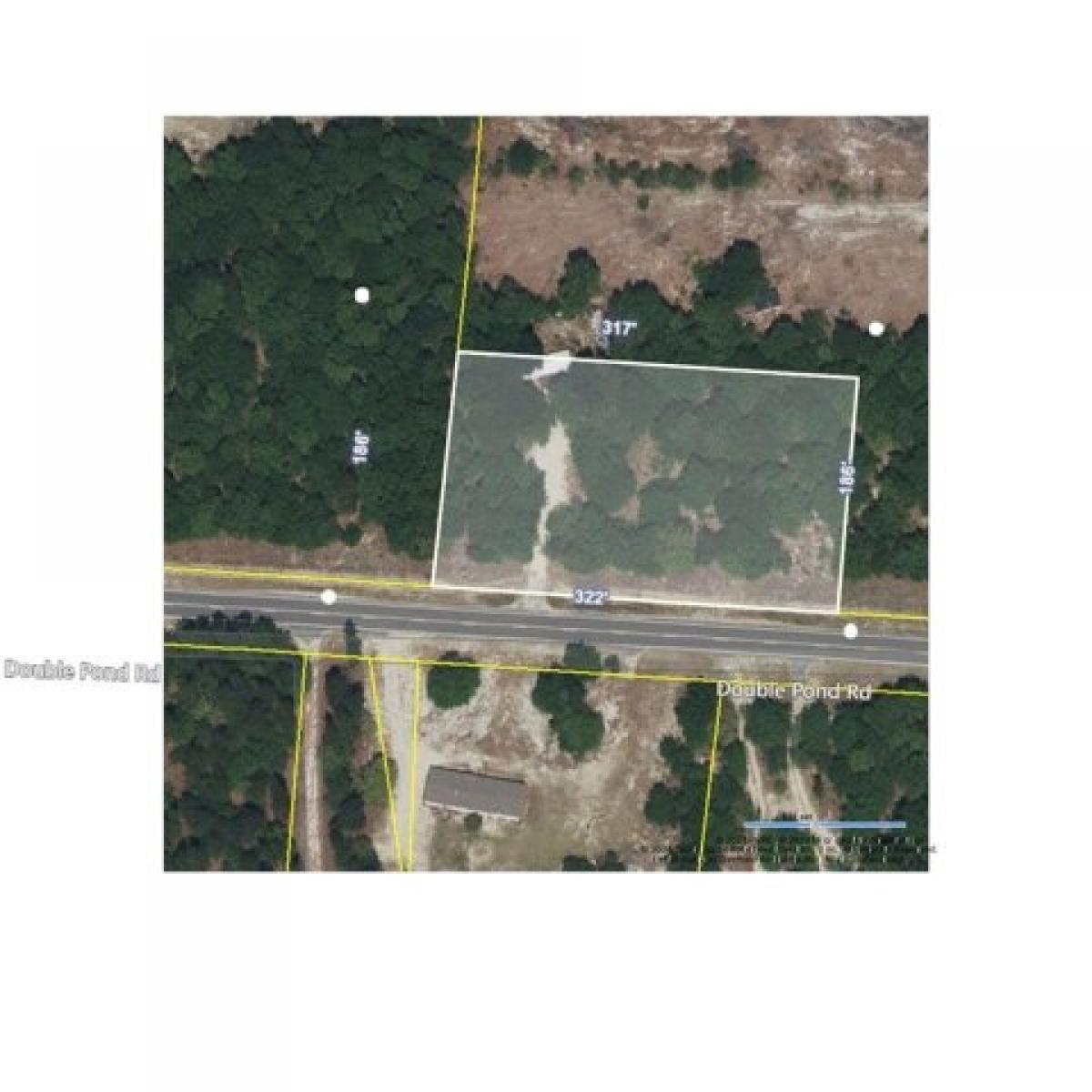 Picture of Residential Land For Sale in Blackville, South Carolina, United States