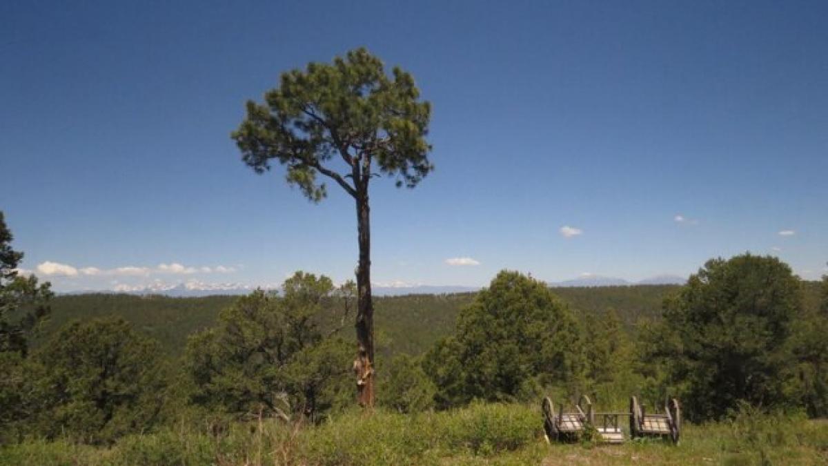 Picture of Residential Land For Sale in Trinidad, Colorado, United States