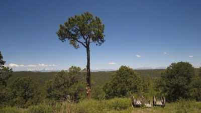 Residential Land For Sale in Trinidad, Colorado