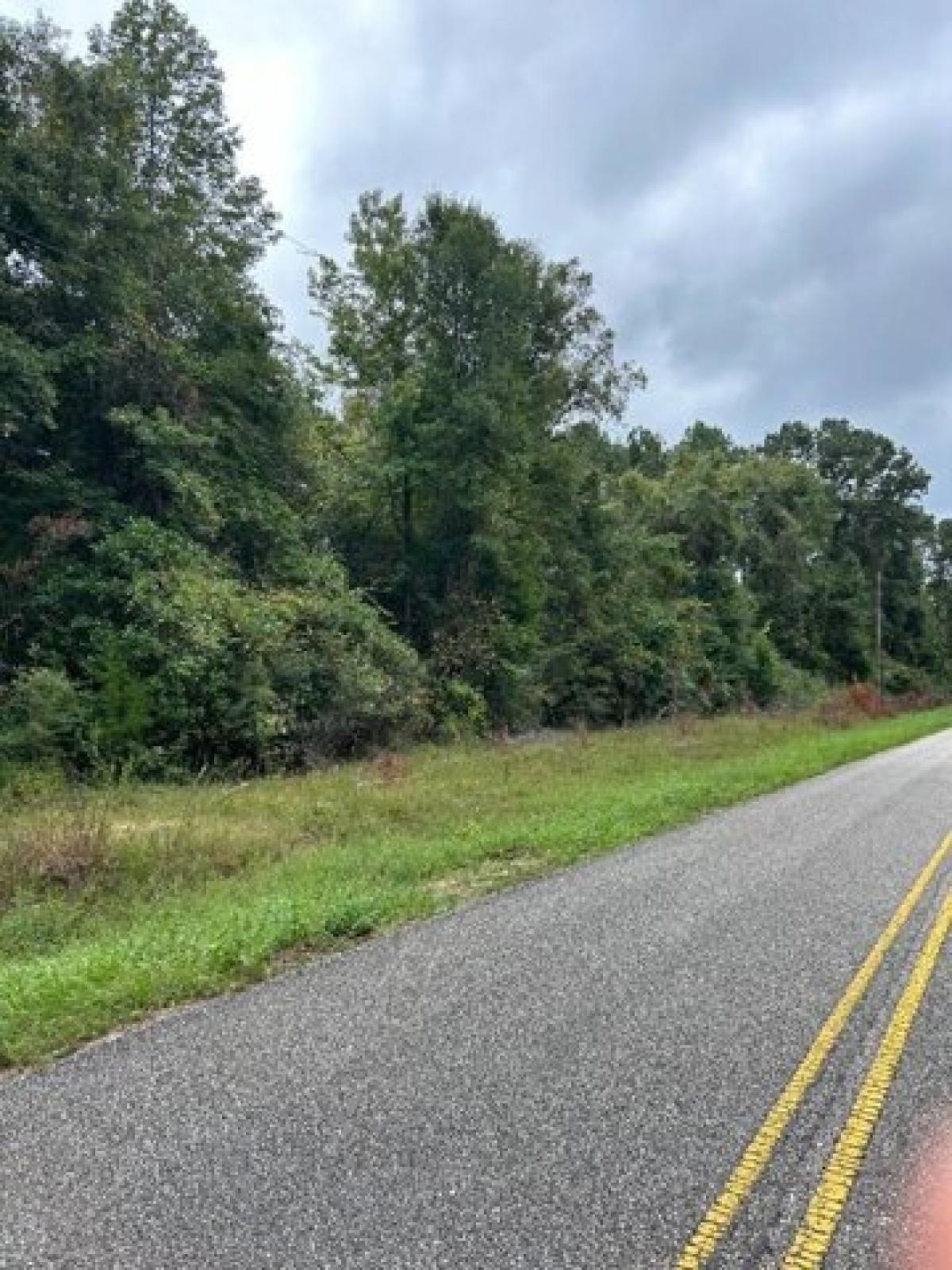 Picture of Residential Land For Sale in Evergreen, Alabama, United States