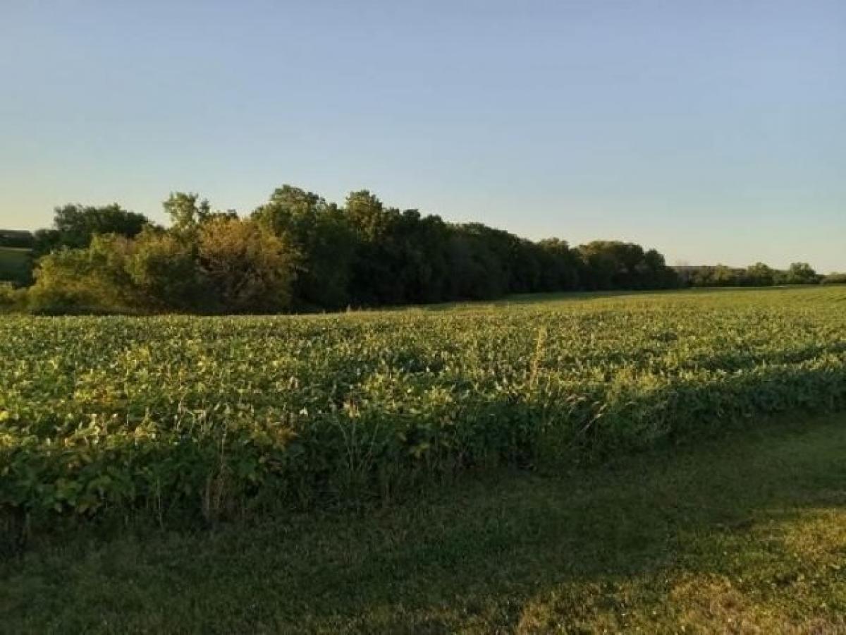 Picture of Residential Land For Sale in Harpers Ferry, Iowa, United States