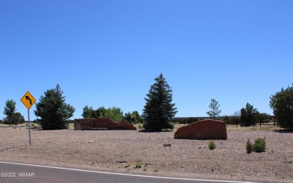 Picture of Residential Land For Sale in Show Low, Arizona, United States