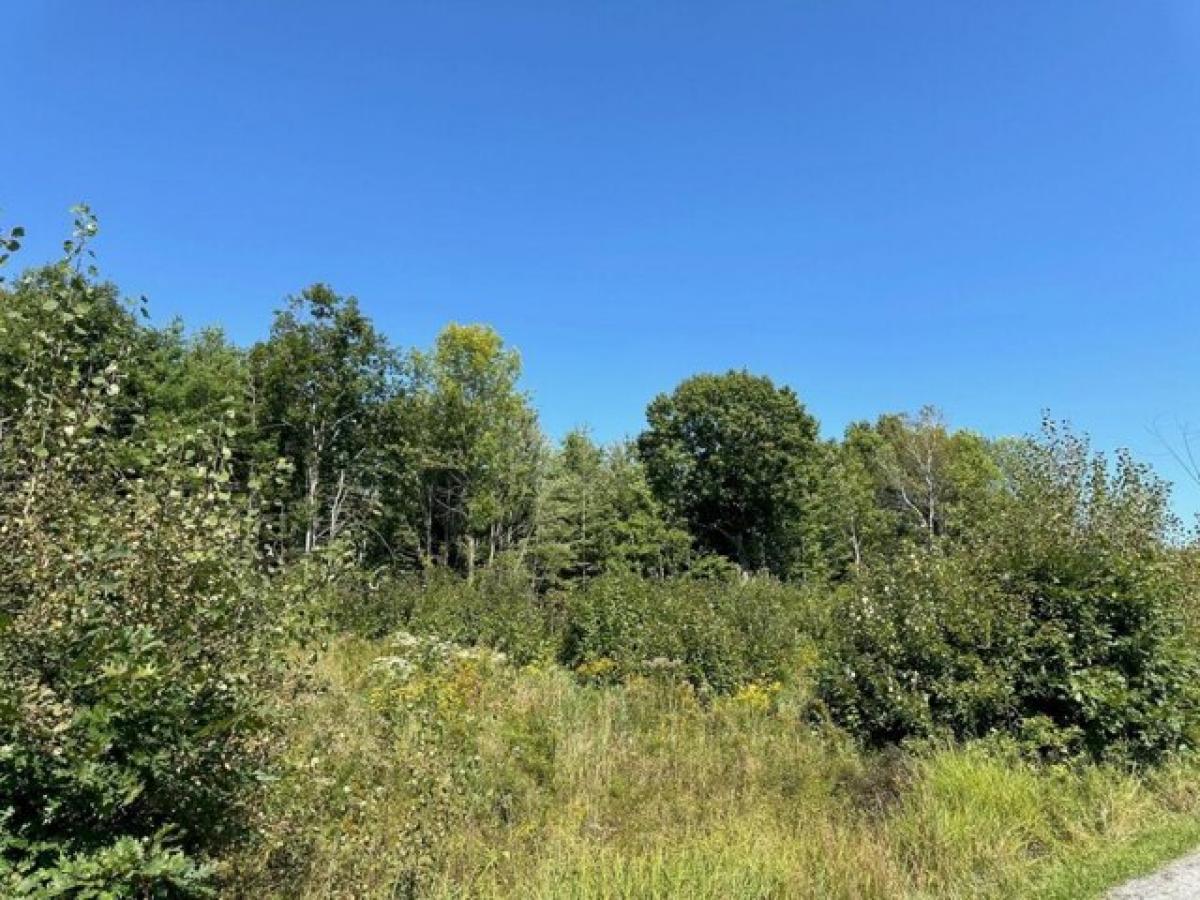 Picture of Residential Land For Sale in Smithfield, Maine, United States