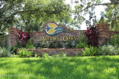 Residential Land For Sale in Hudson, Florida