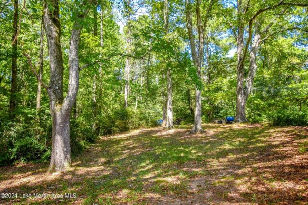 Picture of Home For Sale in Alexander City, Alabama, United States