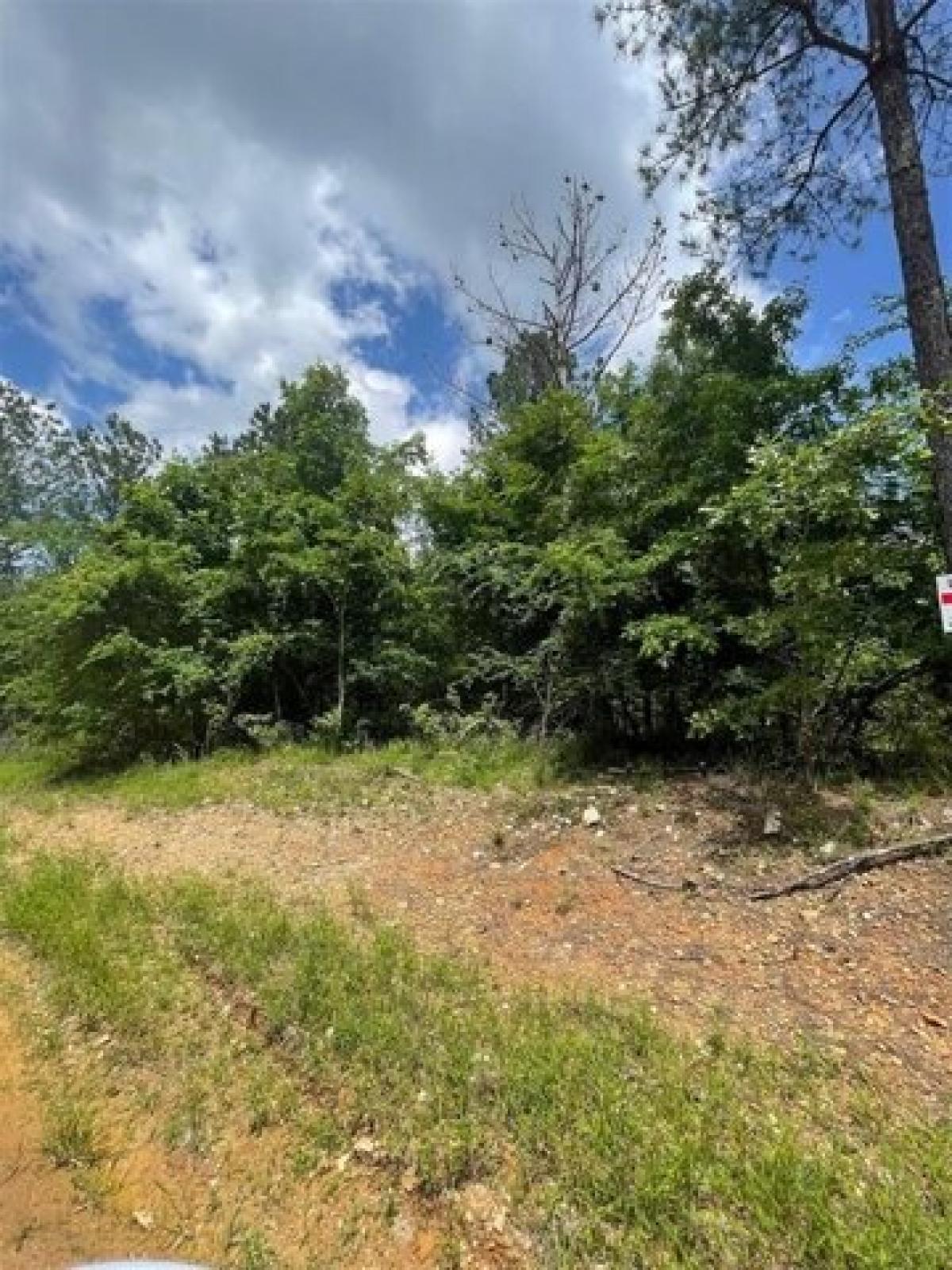 Picture of Residential Land For Sale in Broken Bow, Oklahoma, United States