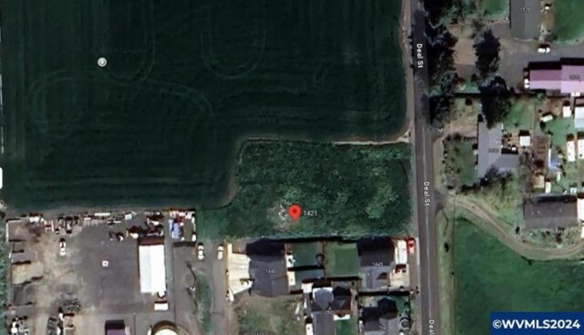 Picture of Residential Land For Sale in Junction City, Oregon, United States