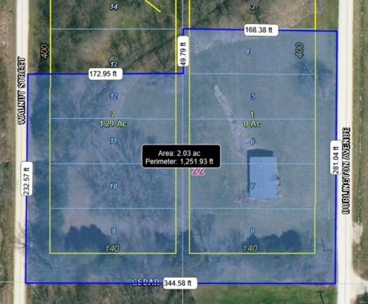 Picture of Residential Land For Sale in Bellflower, Missouri, United States