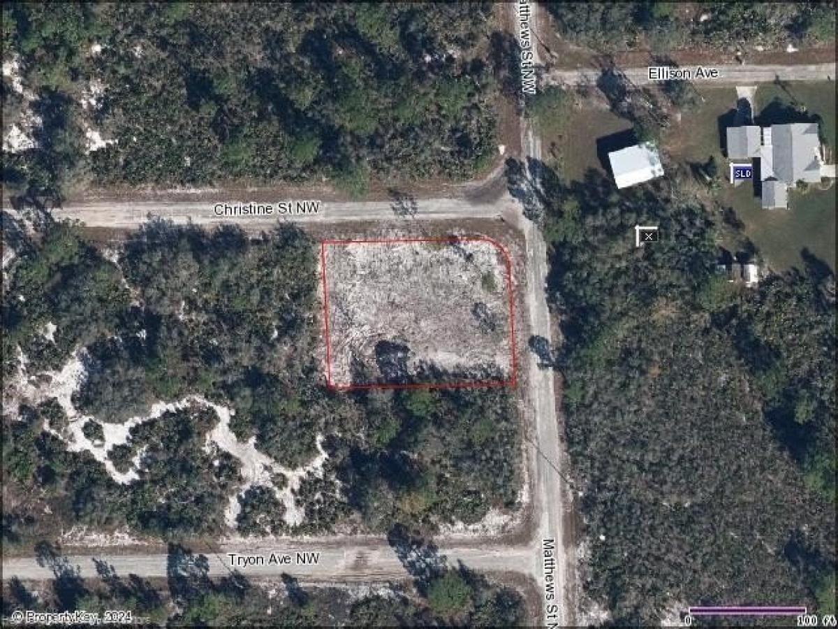 Picture of Residential Land For Sale in Lake Placid, Florida, United States