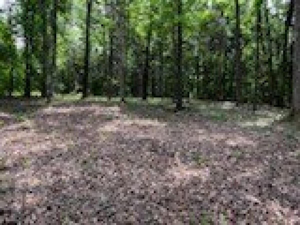 Picture of Residential Land For Sale in Charlotte, Tennessee, United States