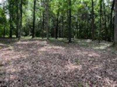 Residential Land For Sale in Charlotte, Tennessee