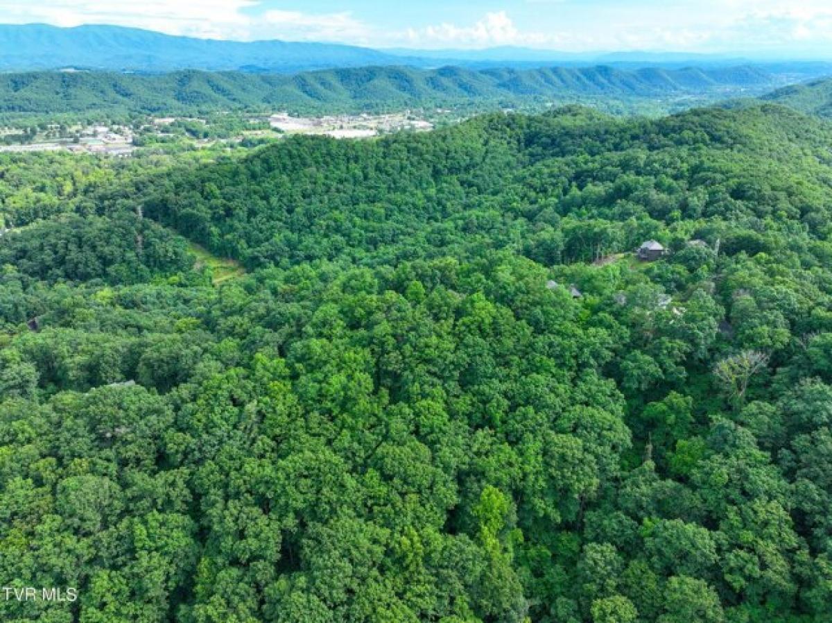 Picture of Residential Land For Sale in Bristol, Tennessee, United States