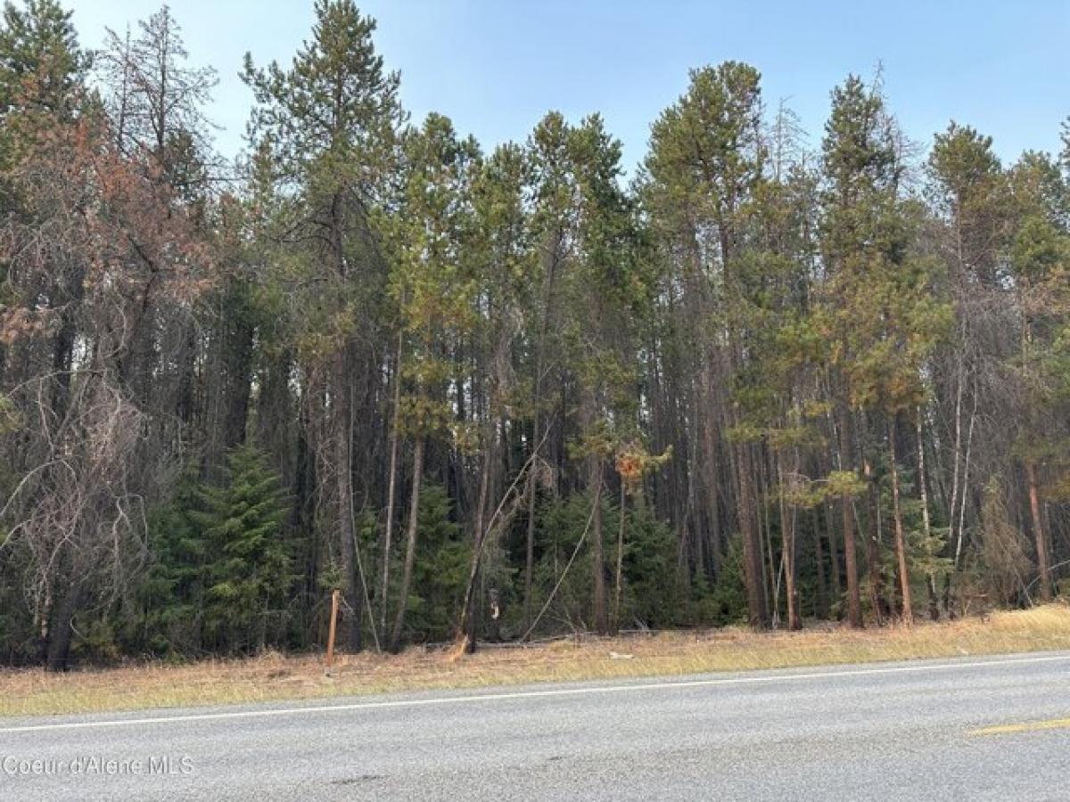 Picture of Residential Land For Sale in Blanchard, Idaho, United States