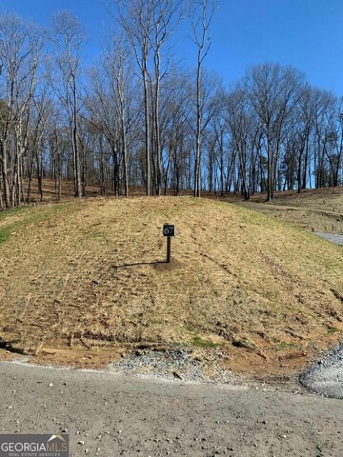 Picture of Residential Land For Sale in Talking Rock, Georgia, United States