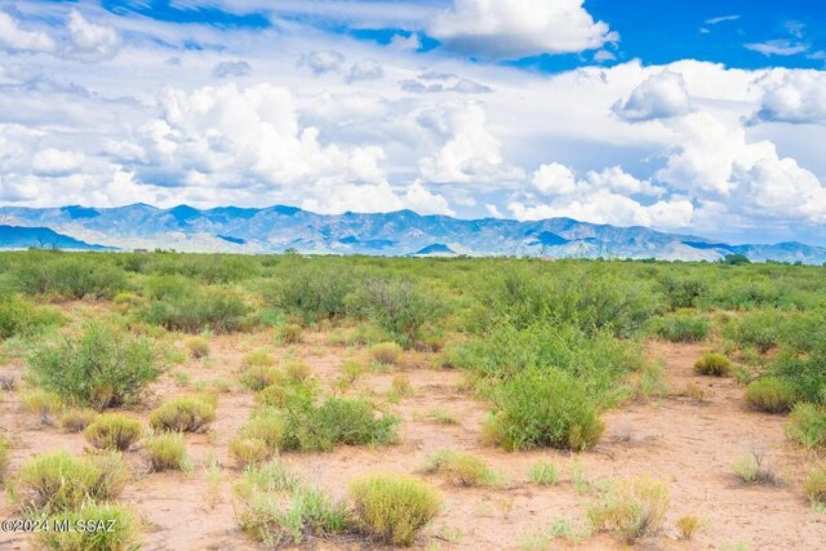 Picture of Residential Land For Sale in Pearce, Arizona, United States