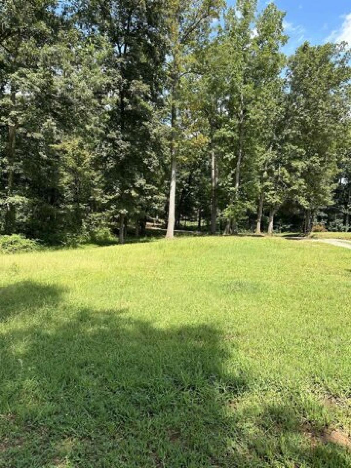 Picture of Residential Land For Sale in Greer, South Carolina, United States