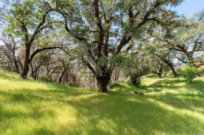 Residential Land For Sale in Healdsburg, California