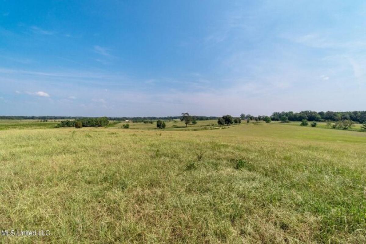 Picture of Residential Land For Sale in Poplarville, Mississippi, United States