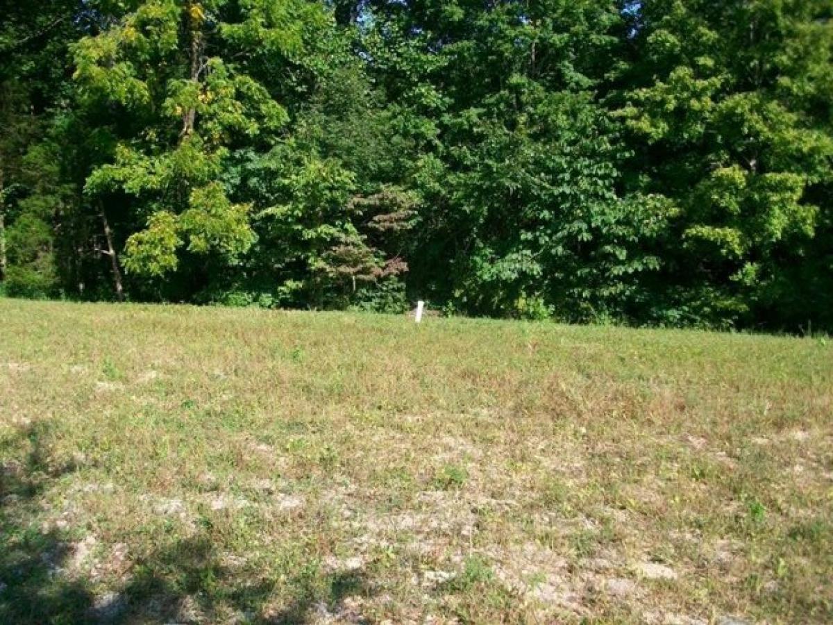 Picture of Residential Land For Sale in Gainesboro, Tennessee, United States