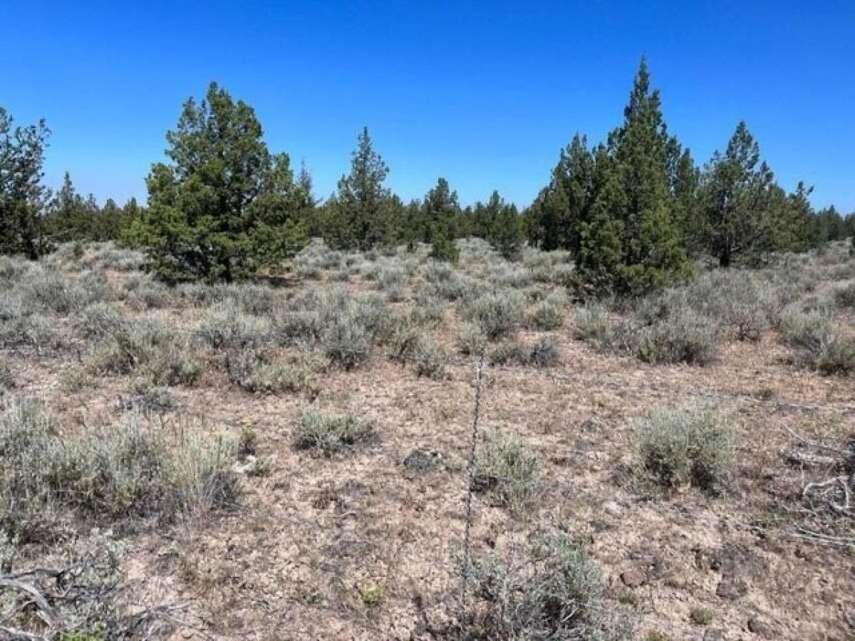 Picture of Residential Land For Sale in Prineville, Oregon, United States