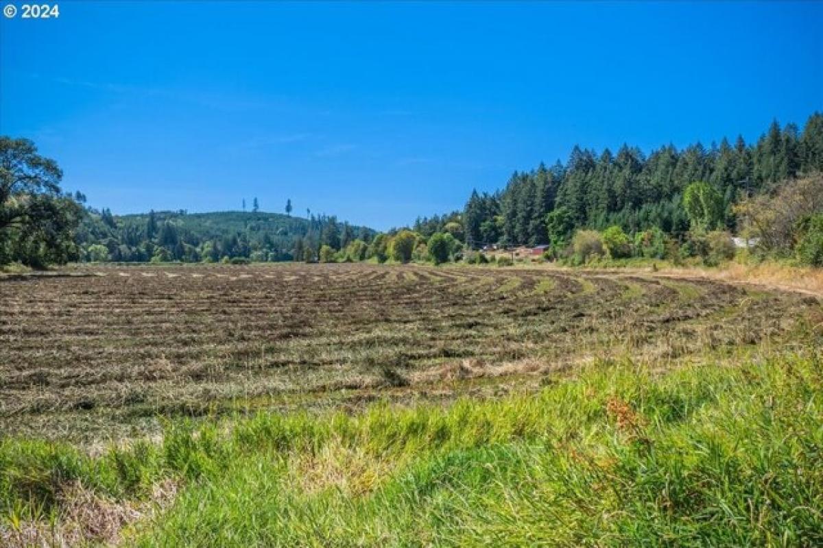 Picture of Residential Land For Sale in Gaston, Oregon, United States