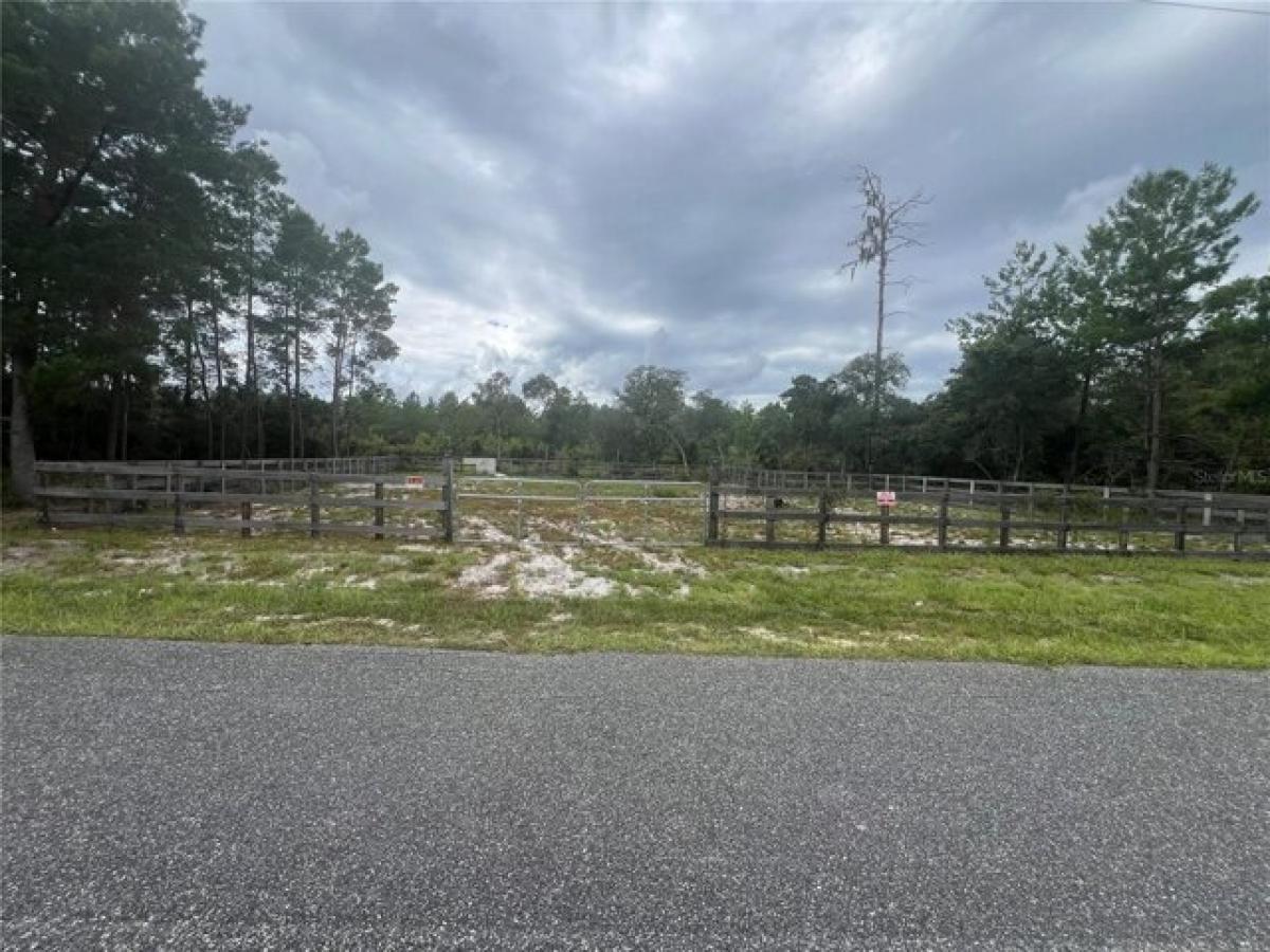 Picture of Residential Land For Sale in Paisley, Florida, United States