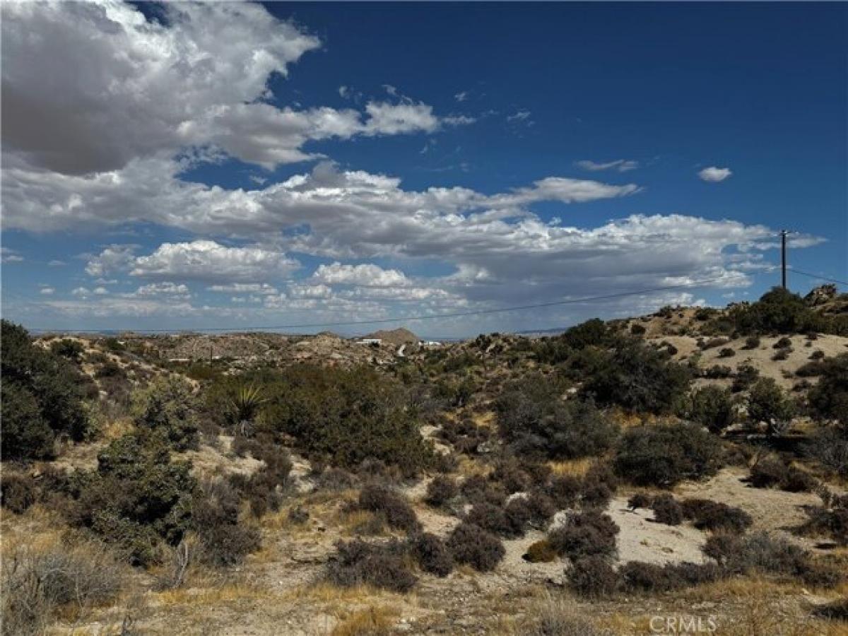 Picture of Residential Land For Sale in Yucca Valley, California, United States