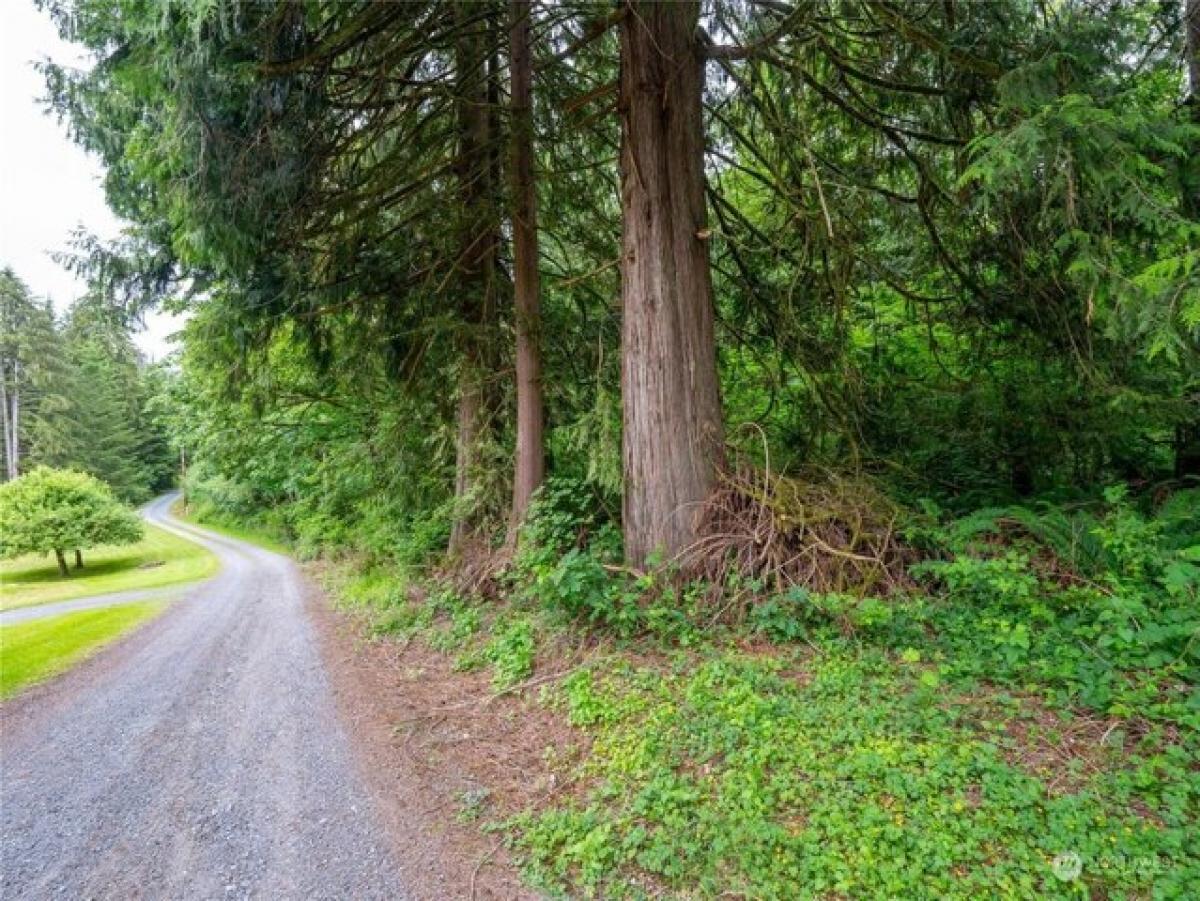 Picture of Residential Land For Sale in Arlington, Washington, United States