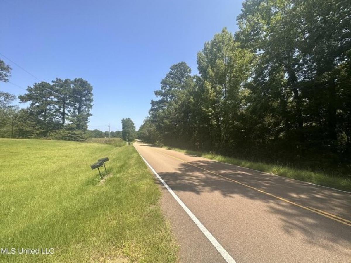 Picture of Residential Land For Sale in Crystal Springs, Mississippi, United States