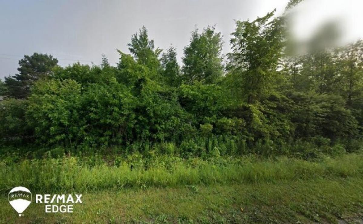 Picture of Residential Land For Sale in Clio, Michigan, United States