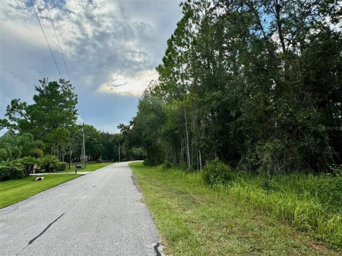 Picture of Residential Land For Sale in New Port Richey, Florida, United States