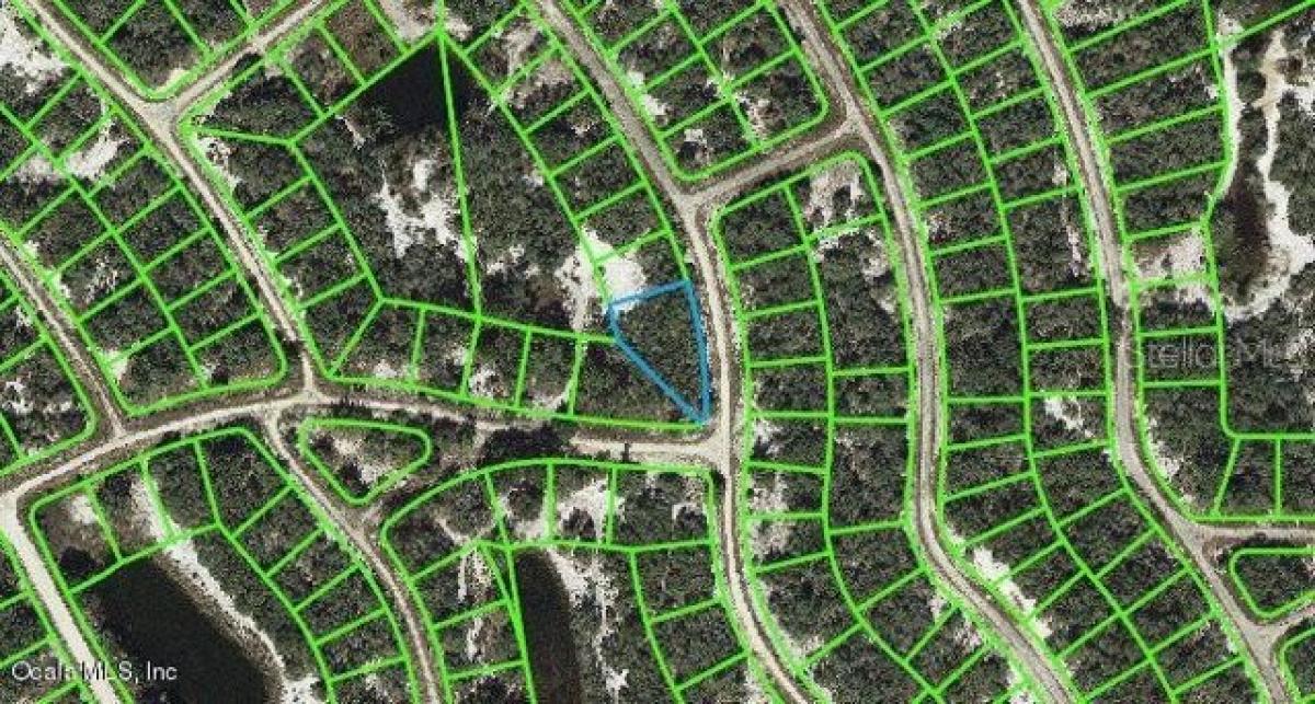 Picture of Residential Land For Sale in Lake Placid, Florida, United States