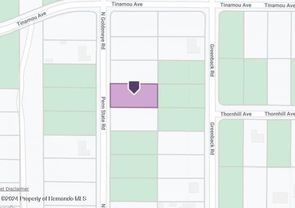 Picture of Residential Land For Sale in Weeki Wachee, Florida, United States