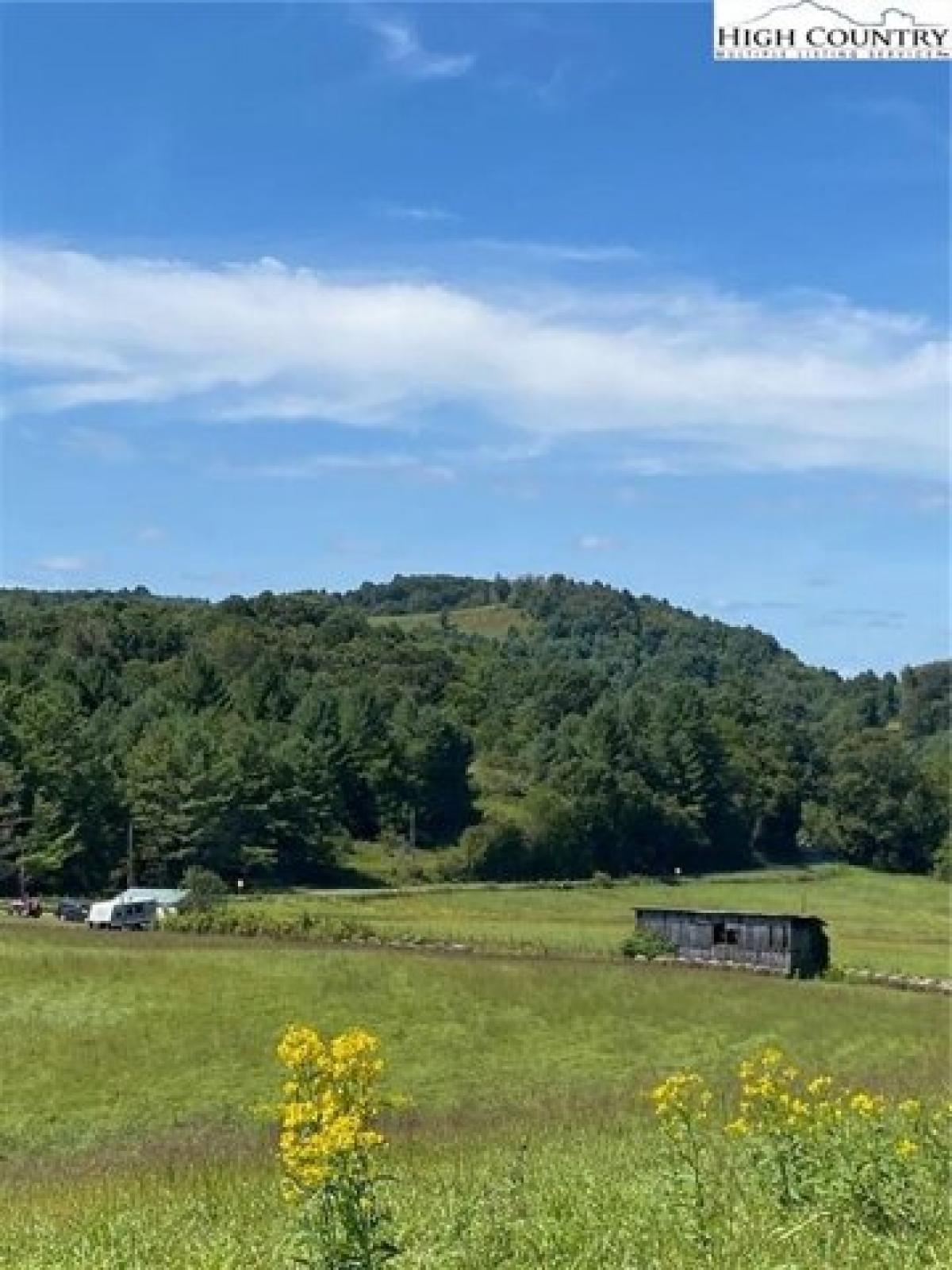 Picture of Residential Land For Sale in Sparta, North Carolina, United States