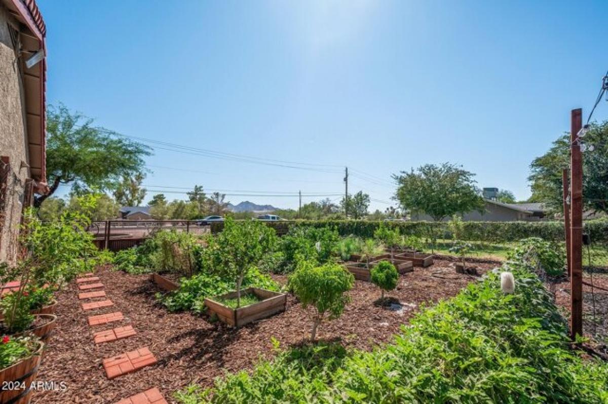 Picture of Home For Sale in Queen Creek, Arizona, United States