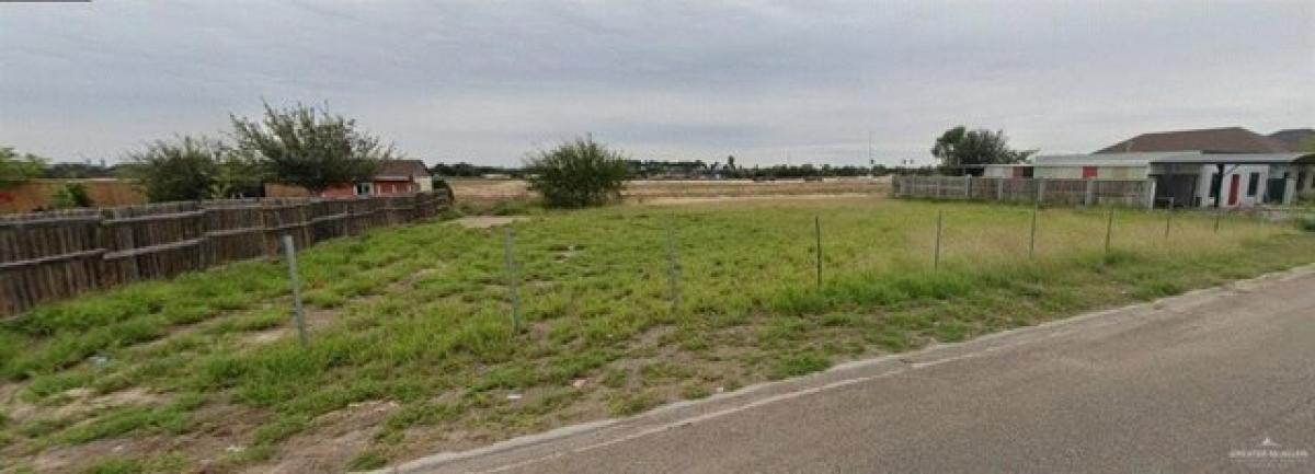 Picture of Residential Land For Sale in Palmview, Texas, United States