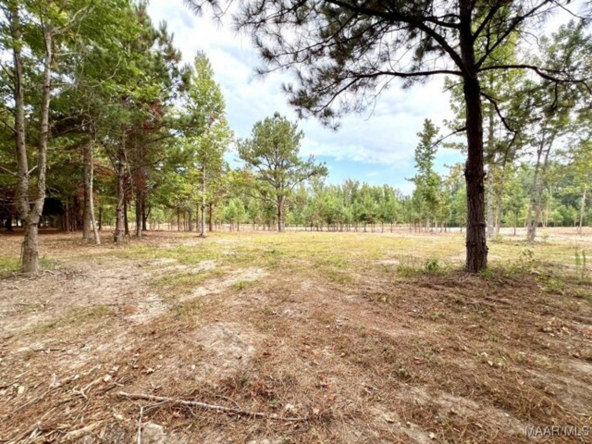 Picture of Residential Land For Sale in Wetumpka, Alabama, United States