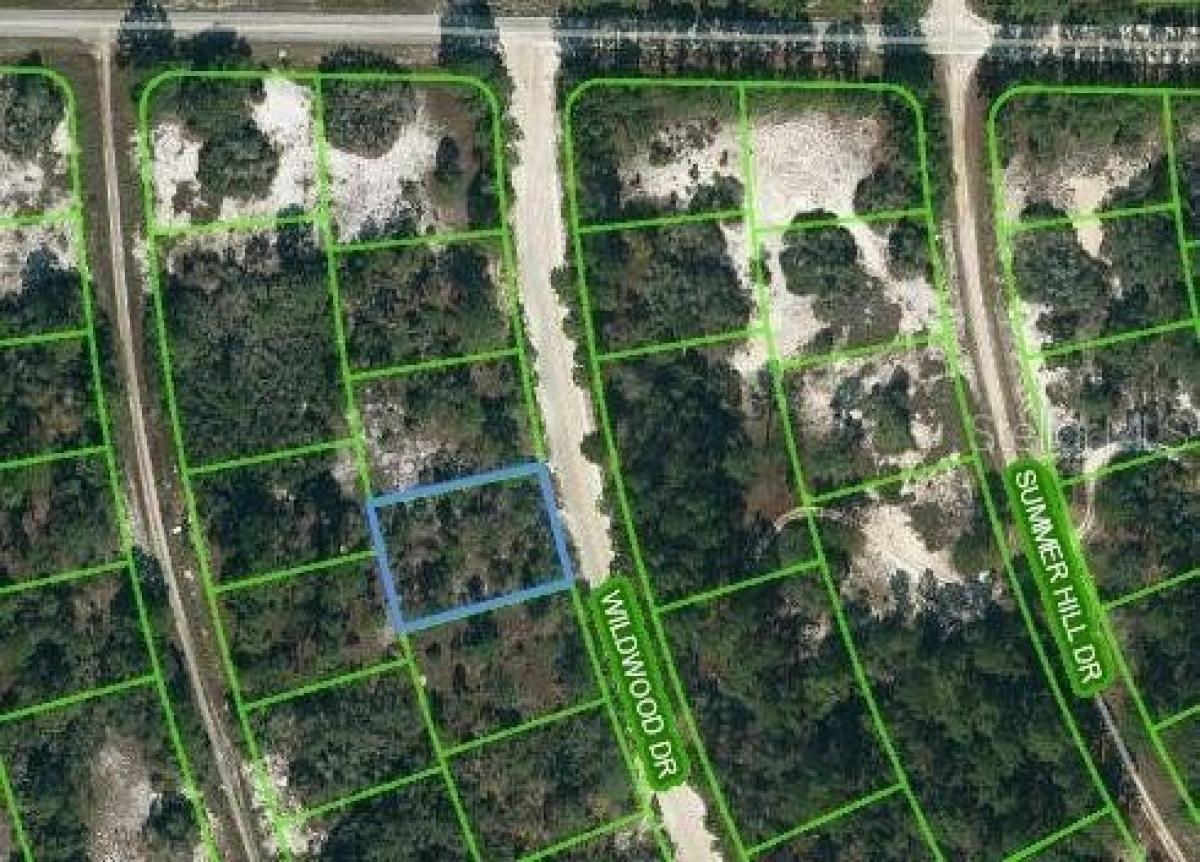 Picture of Residential Land For Sale in Lake Placid, Florida, United States