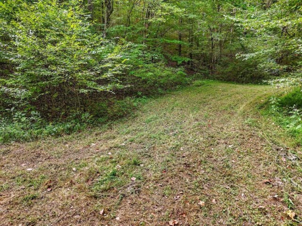 Picture of Residential Land For Sale in Ethridge, Tennessee, United States