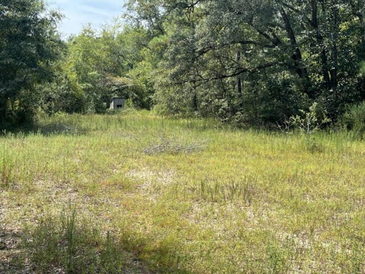 Picture of Residential Land For Sale in Lucedale, Mississippi, United States