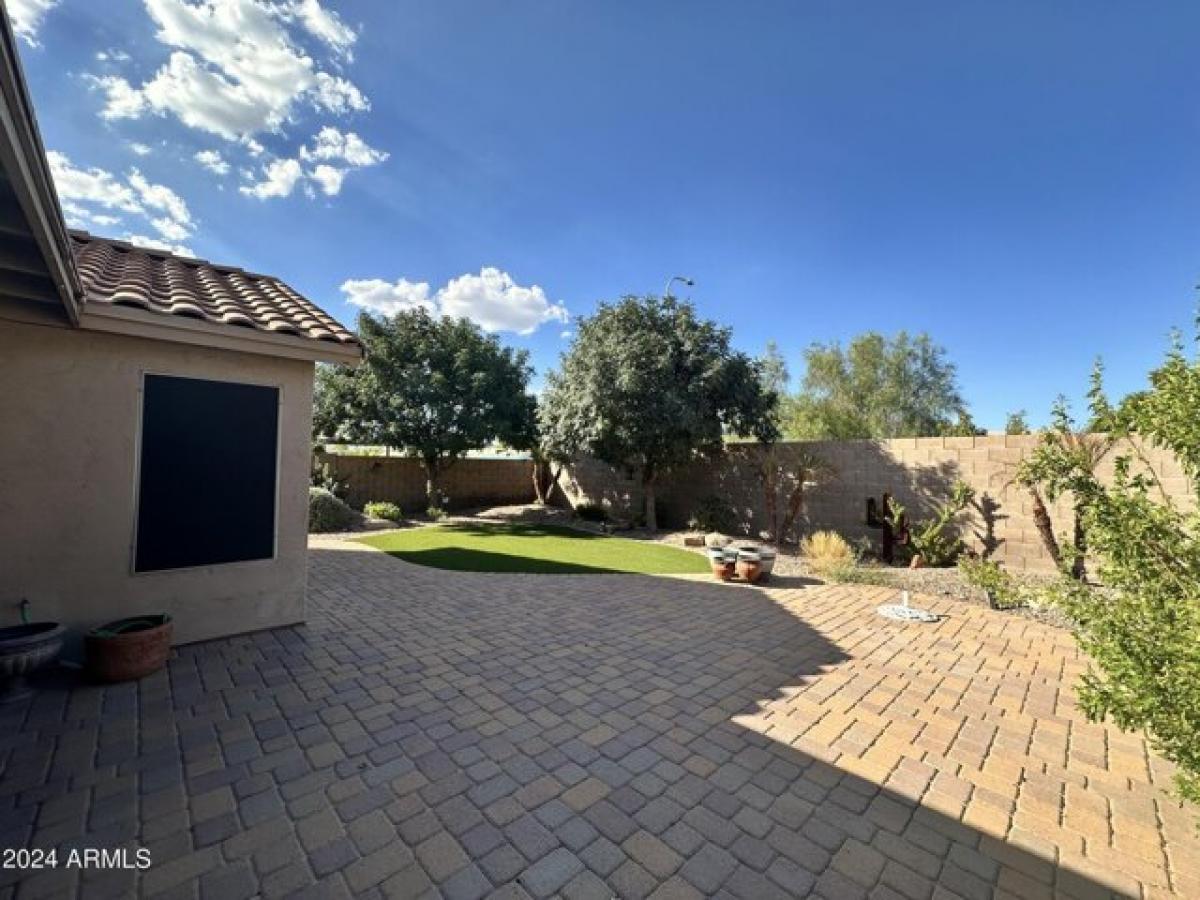 Picture of Home For Rent in Chandler, Arizona, United States