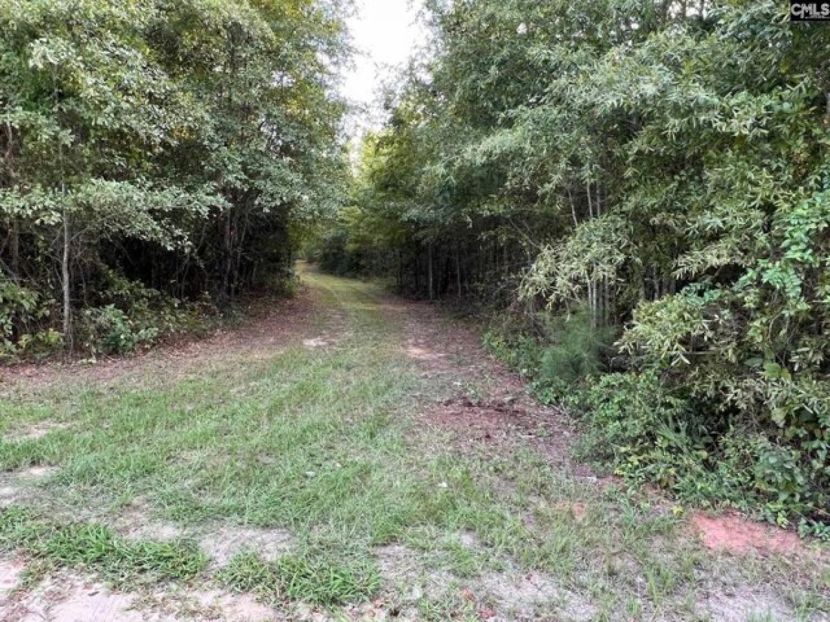 Picture of Residential Land For Sale in Monetta, South Carolina, United States