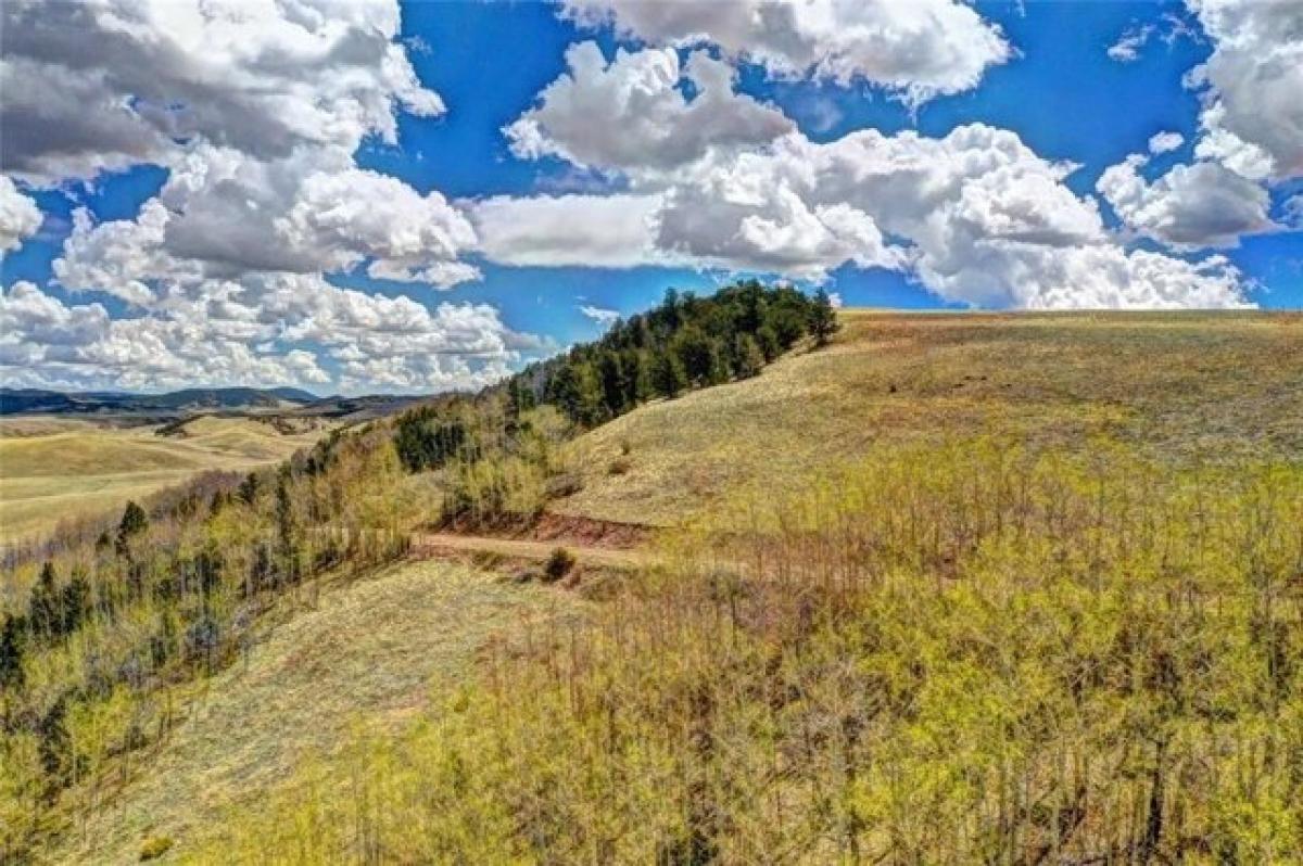 Picture of Residential Land For Sale in Hartsel, Colorado, United States