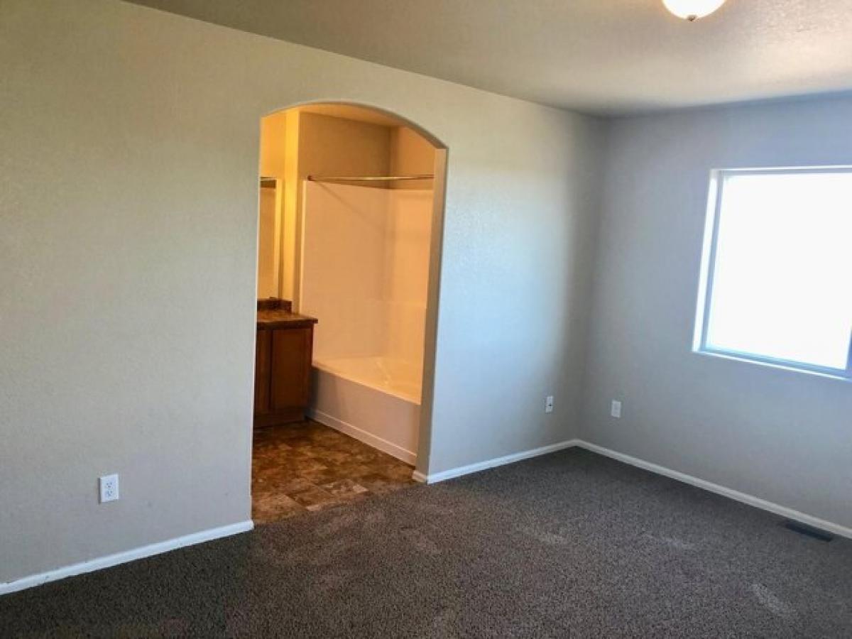 Picture of Home For Rent in Colorado Springs, Colorado, United States