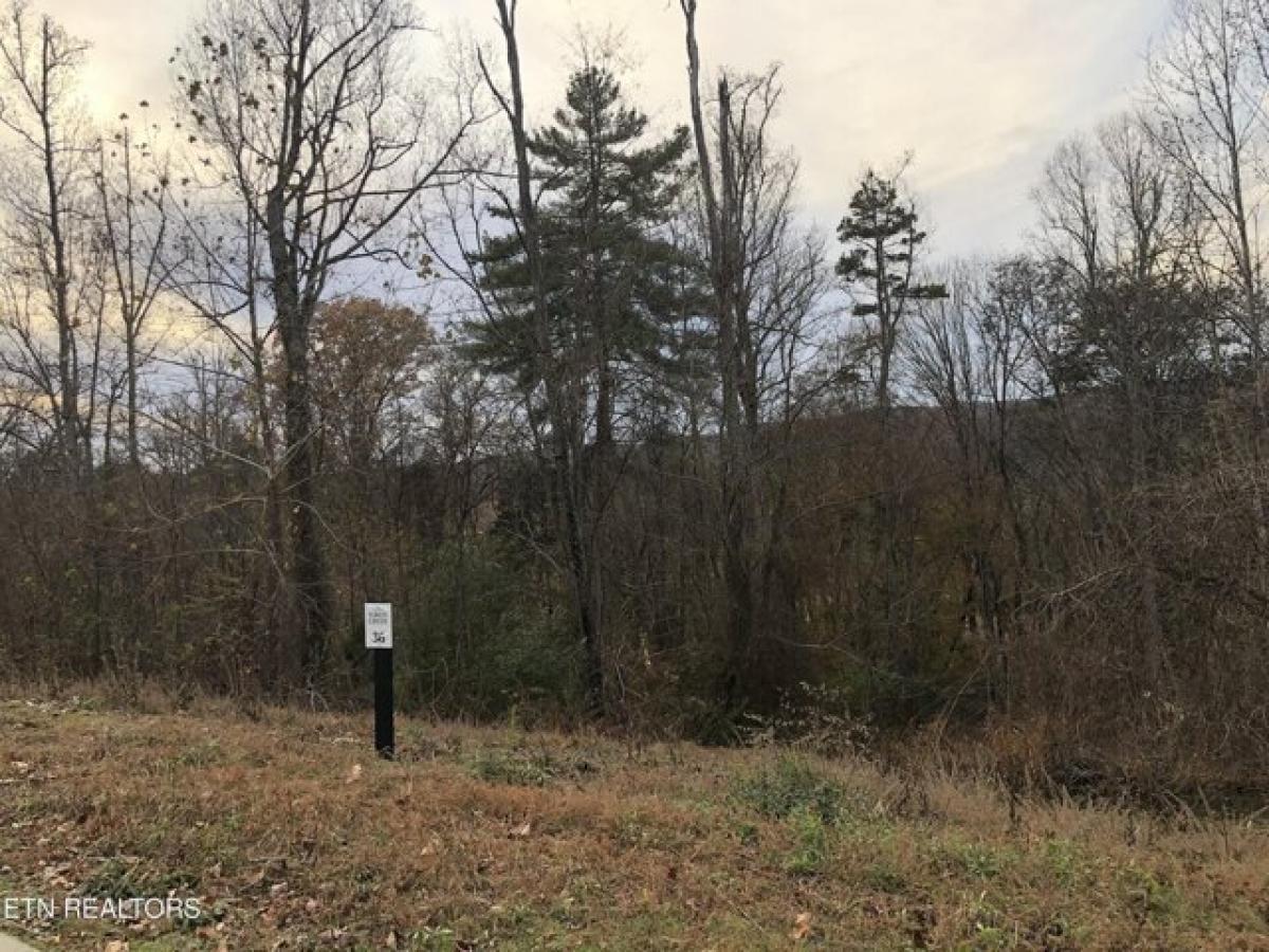 Picture of Residential Land For Sale in Oak Ridge, Tennessee, United States