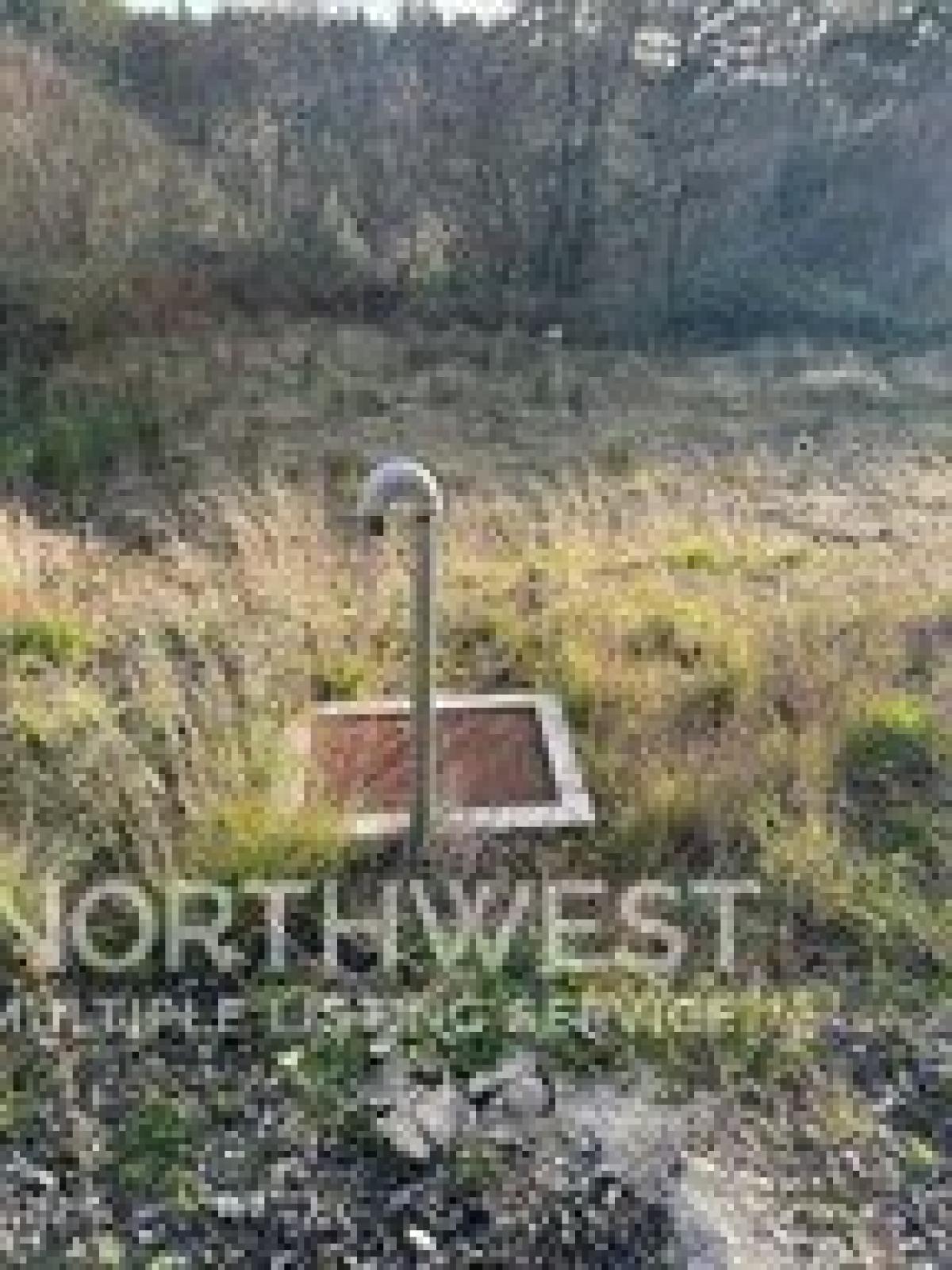 Picture of Residential Land For Sale in Allyn, Washington, United States