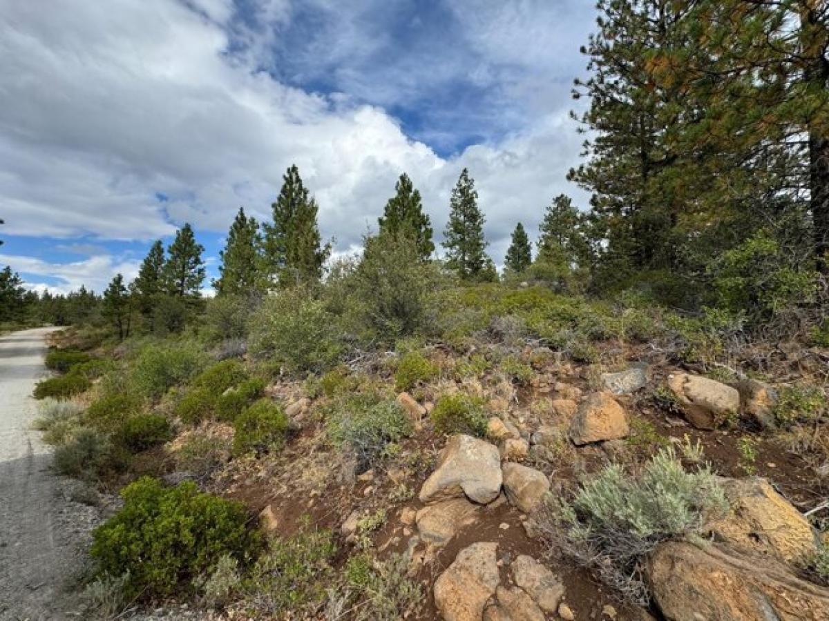 Picture of Residential Land For Sale in Bonanza, Oregon, United States