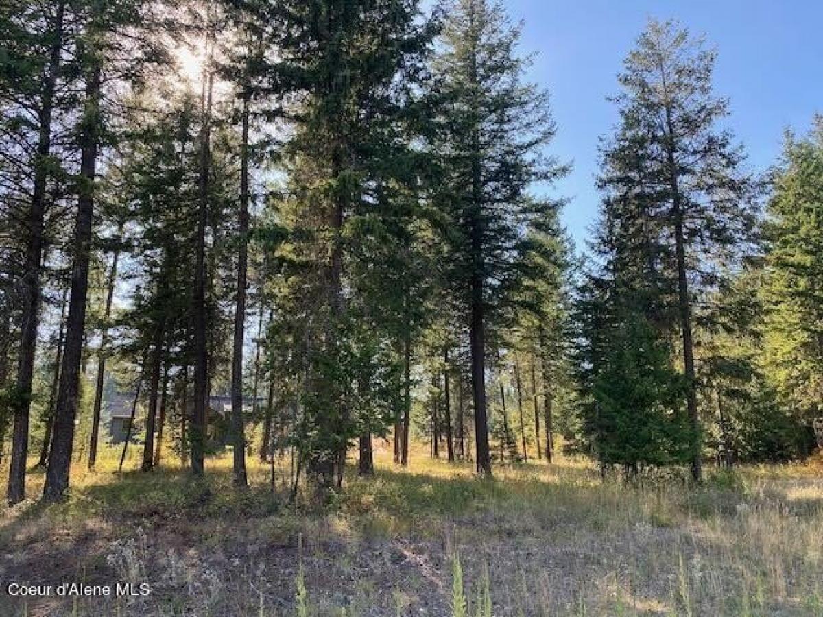 Picture of Residential Land For Sale in Rathdrum, Idaho, United States